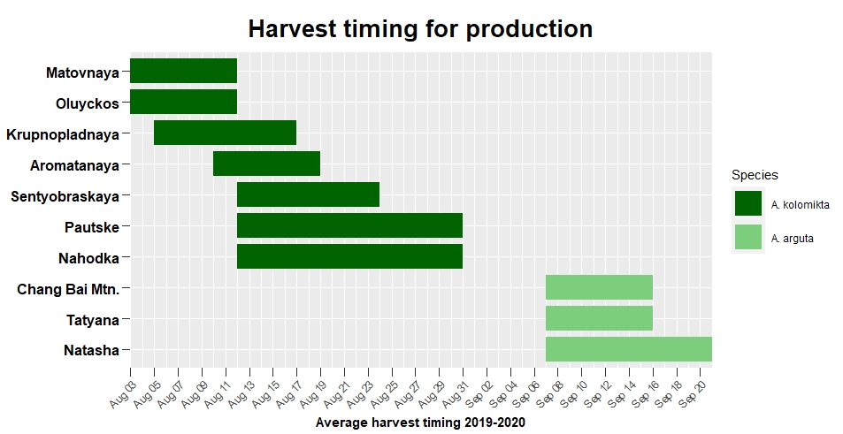chart showing average harvest windows for different kiwiberry cultivars
