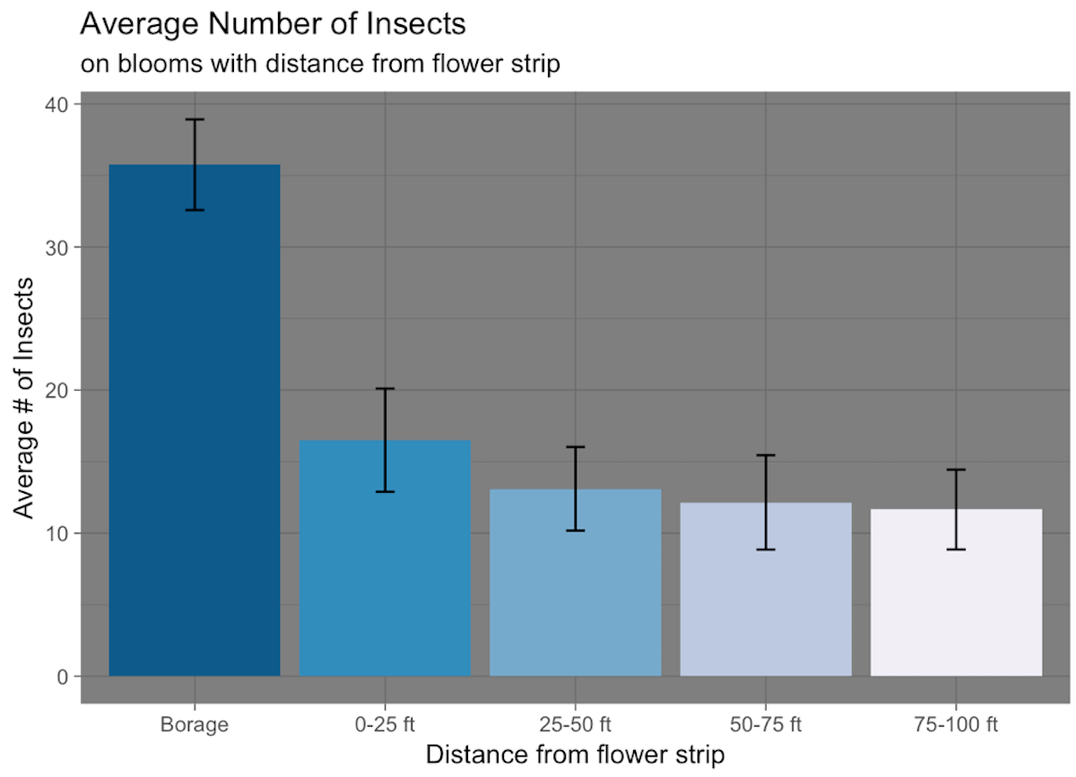 Graph illustrating average number of insects decreases as distance from borage increases.