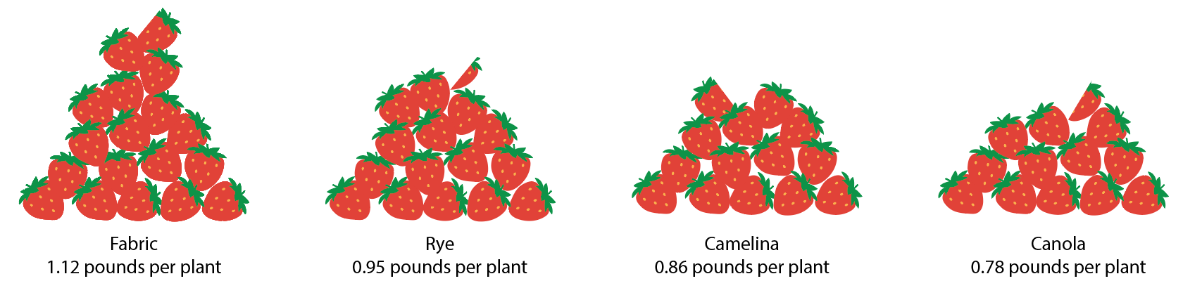 chart showing combined average yields of strawberries