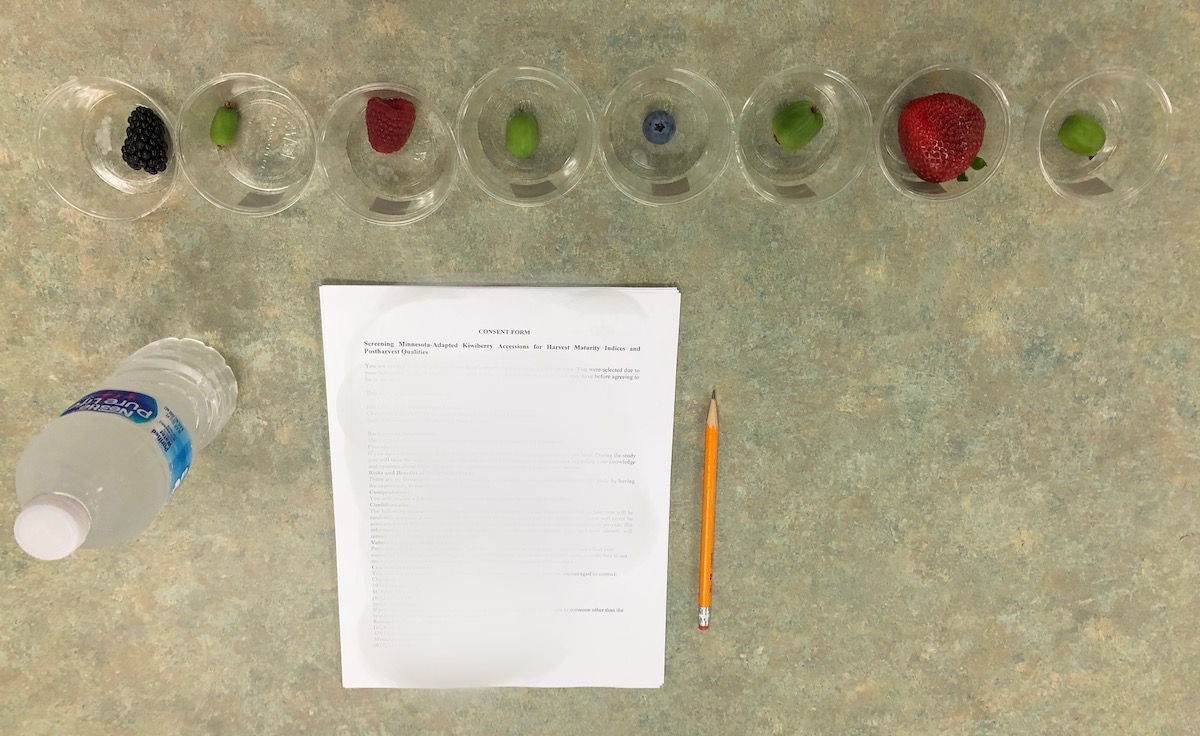 various types of berries and comment form set up for consumer testing