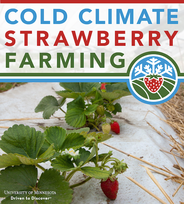 cold climate strawberry farming ebook cover