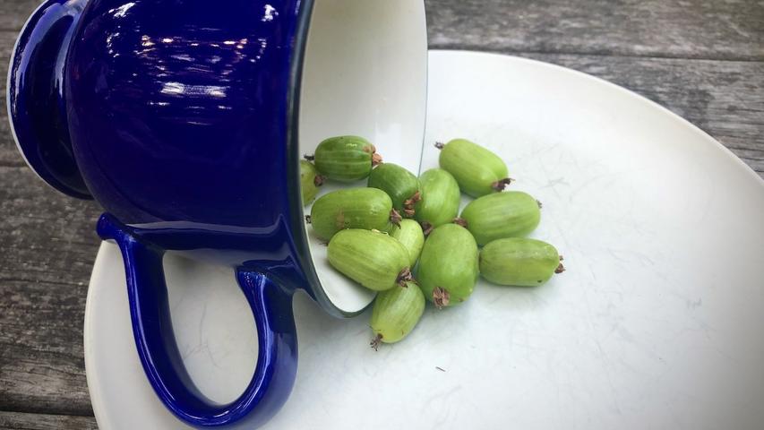 kiwiberries spilling out of an overturned teacup